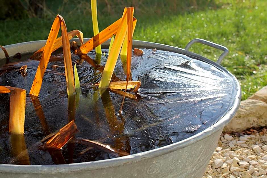 Carpe Diem - Bnb - Chambres d'hôtes