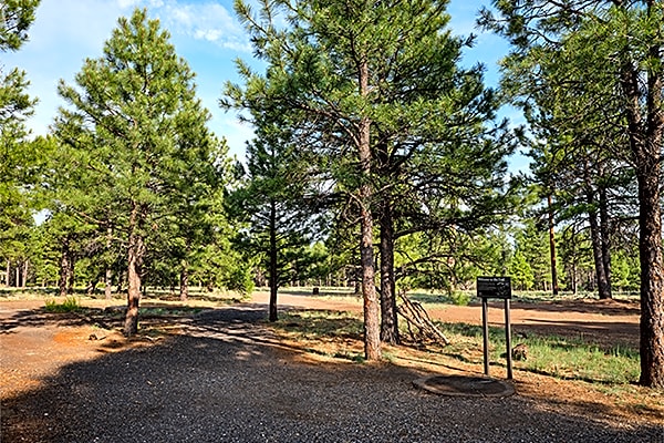 Little America Hotel Flagstaff