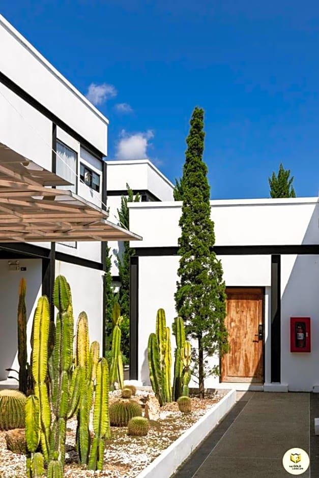 The Gold Living Life