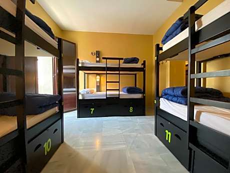 Bed in 14-Bed Mixed Dormitory Room