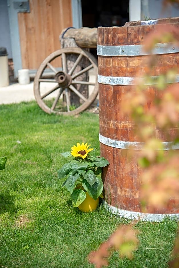 Ranchzimmer am Hippo-Campus Reit- und Therapiezentrum
