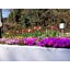 Flower Villa Sagamiko - Vacation STAY 04716v