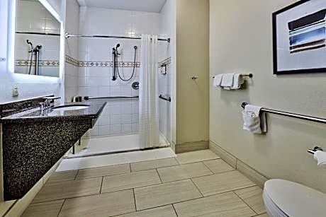 Deluxe Suite with Roll-in Shower - Hearing Accessible