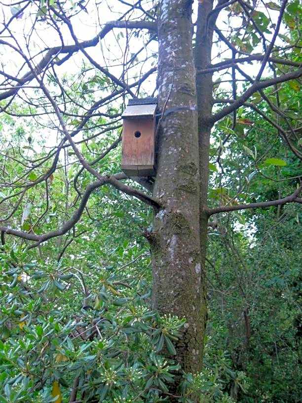 Albergo Ristorante Guidi