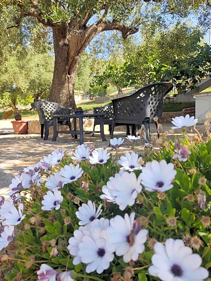 Ad Agros Logement