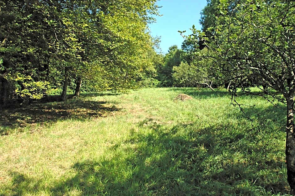 Hôtel et Studios d'Orfeuil