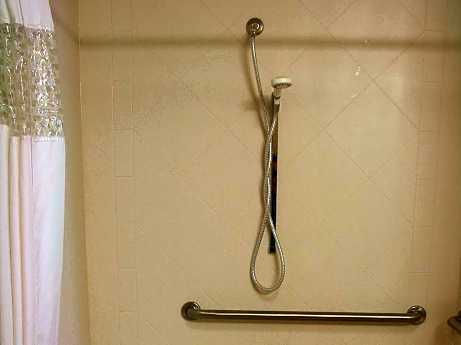 Hampton Inn By Hilton And Suites Savannah-Airport