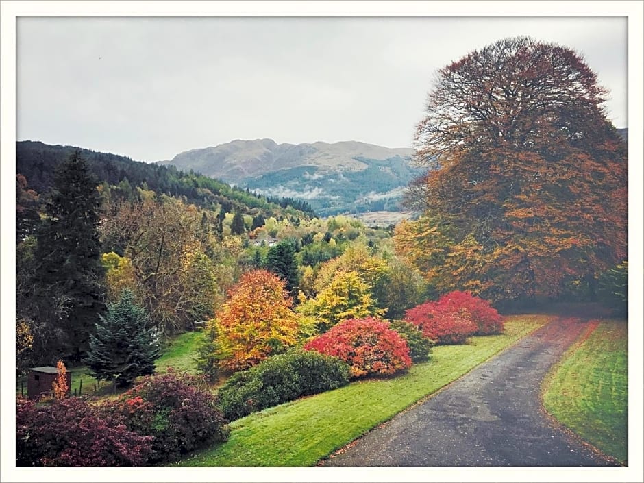 Hillside Log cabin, Ardoch Lodge, Strathyre