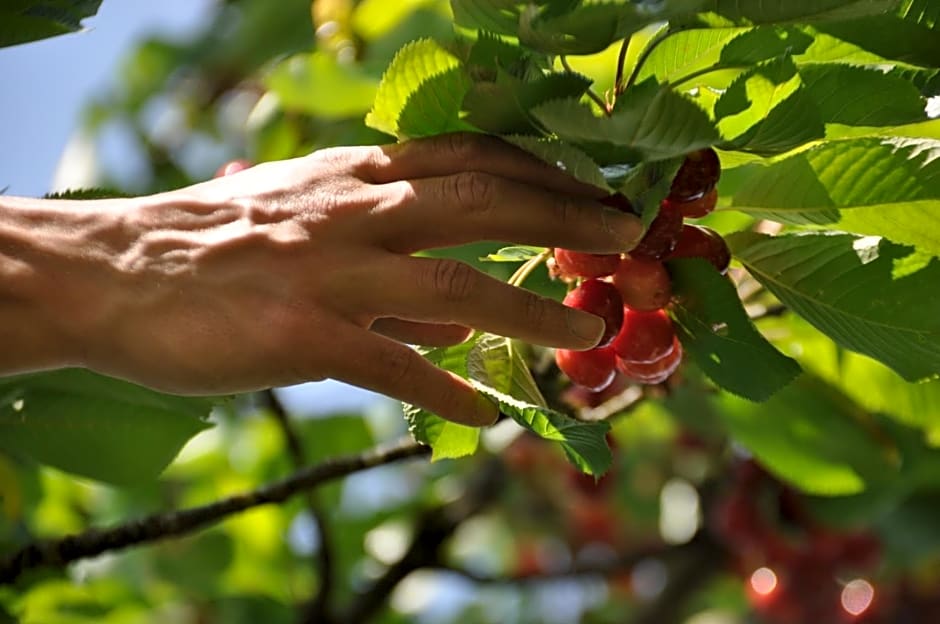 Terres de la Grange B&B