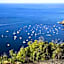 Mantis St Helena