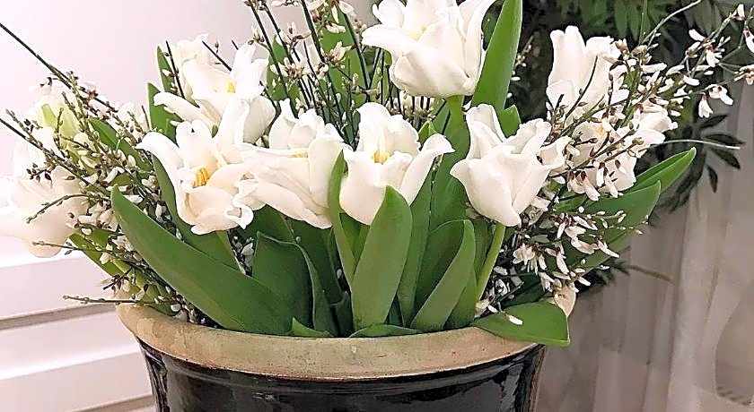 Hotell Charlotte / Stella