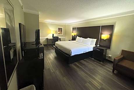 King Suite with Two Sofa Beds and Living Room - Non-Smoking