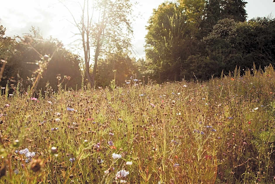 La Dime de Giverny - Chambres d'hôtes-Spa-Restaurant