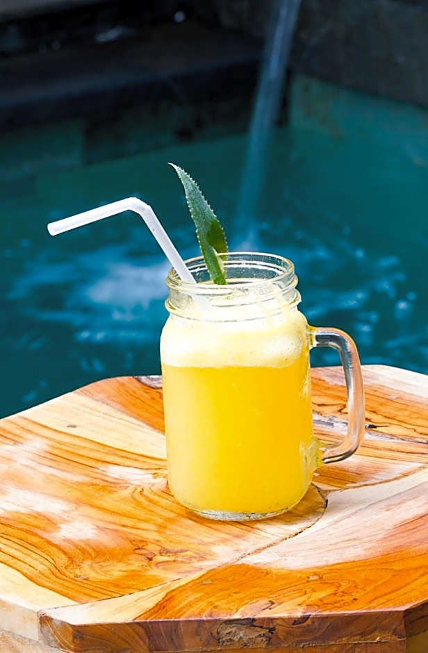 Bintang Darmawan Villa (BDV)