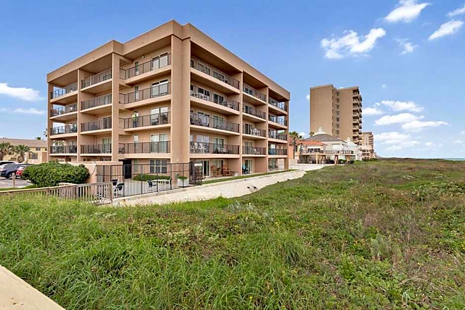 Seagull's Landing By The Ocean