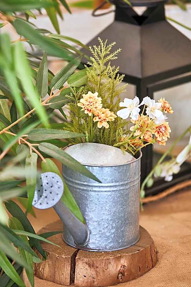 Silken Reino de Aragon