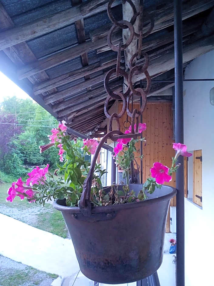 Il Ciliegio di Lurisia