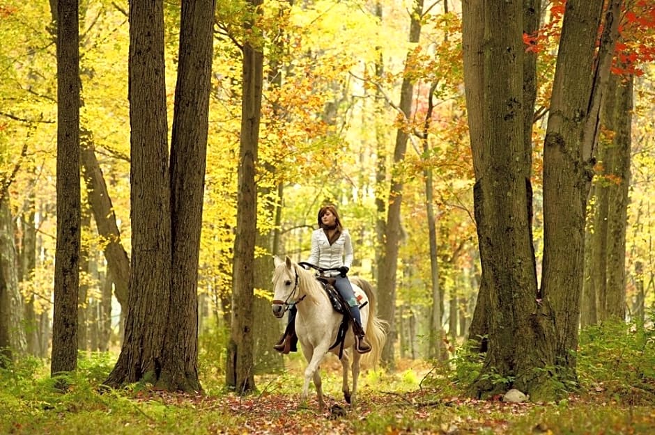 Bellevue Park Hotel Riga