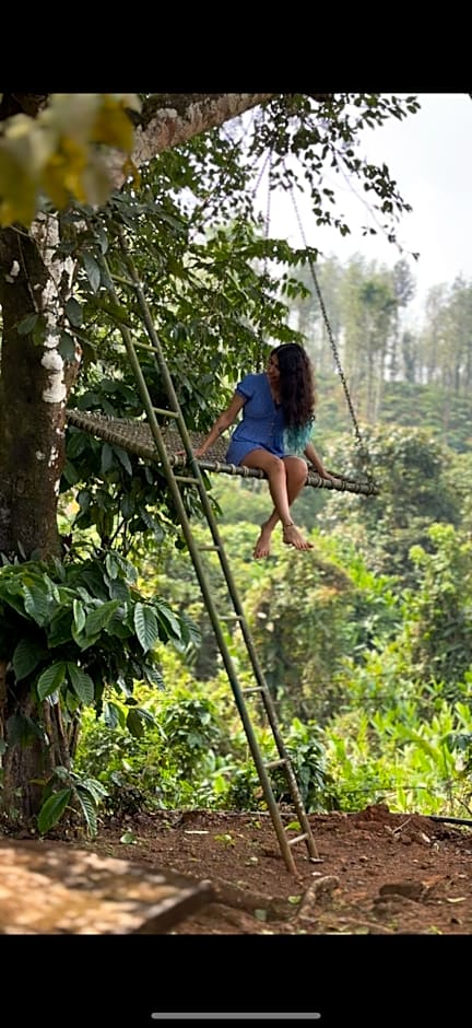 Annapara Home Stay In Vythiri - Wayanad