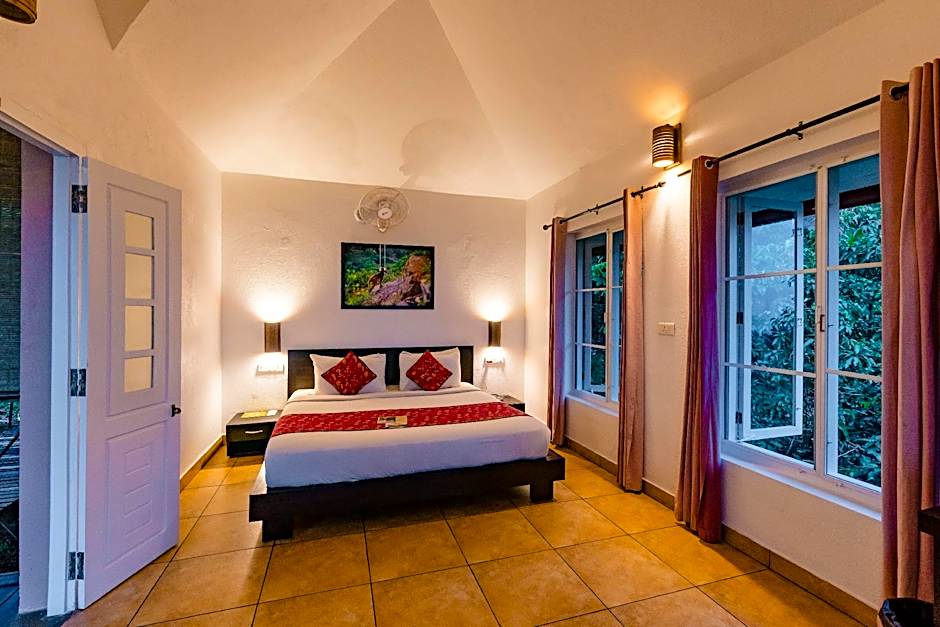 After the Rains - Rainforest Lodge