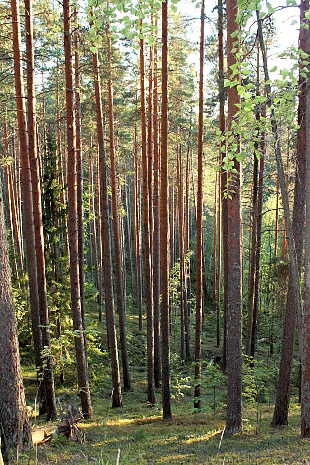 Hotel Kruunupuisto