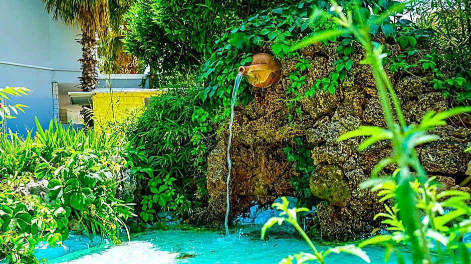 Nex Royal Beach Hotel- All Inclusive