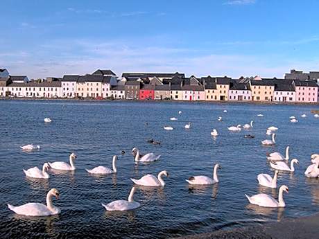 Griffin Lodge - Alojamientos en GALWAY