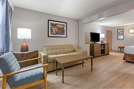 Large King Room with Sofa Bed - Non-Smoking