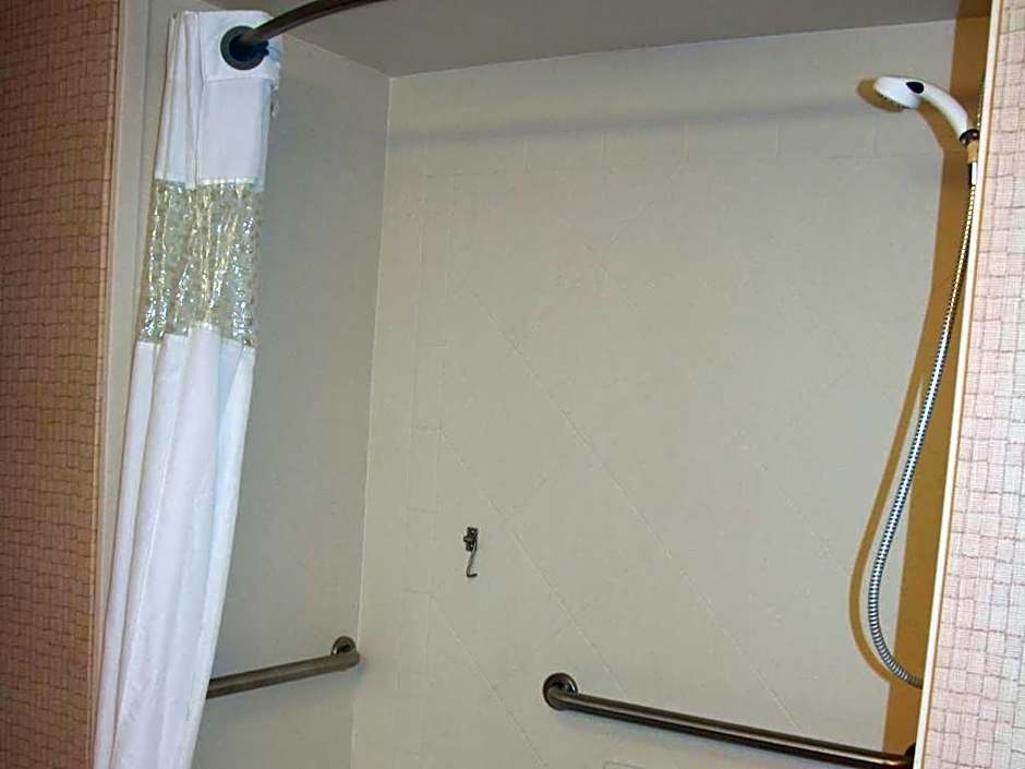 Hampton Inn By Hilton And Suites Savannah-Airport