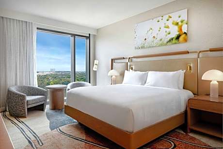 Deluxe King, Guest room, 1 King