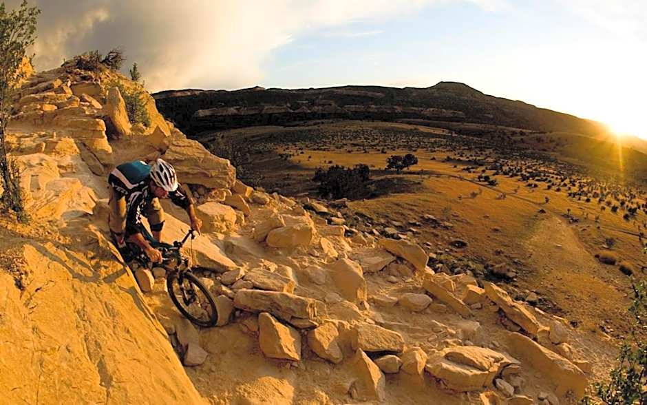 Super 8 by Wyndham Fruita