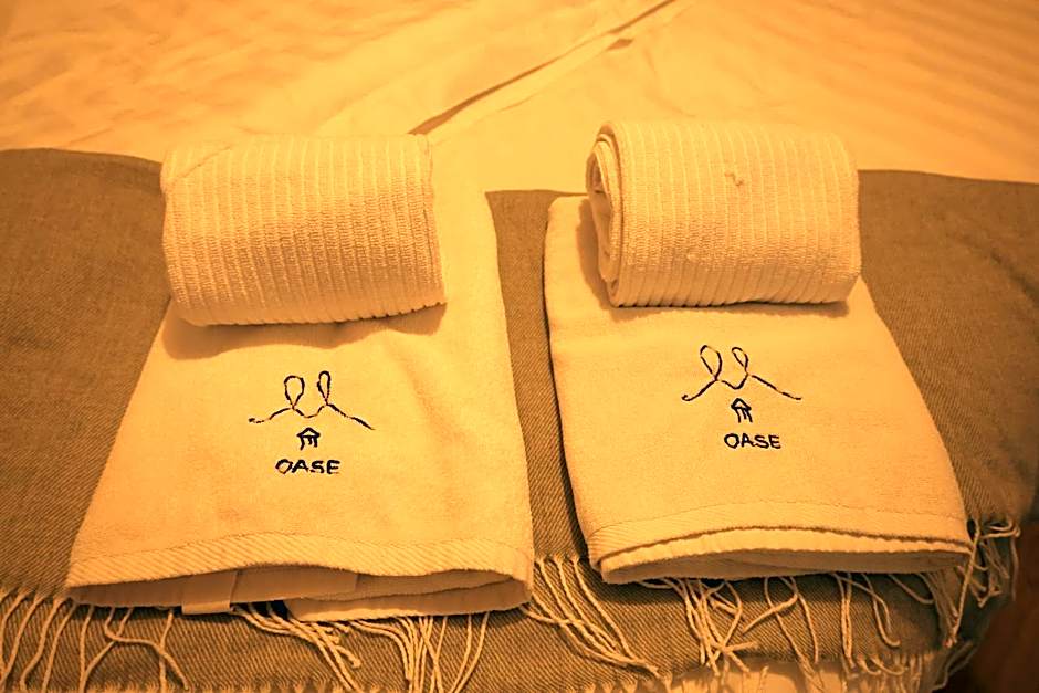 Hotel Wildbach Brienz