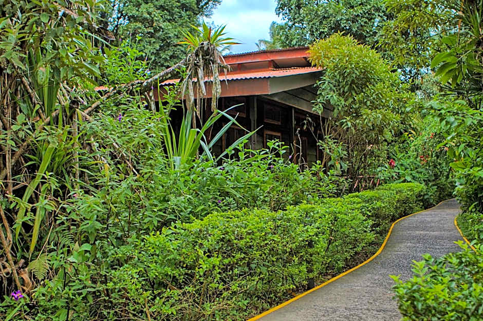 Pachira Lodge