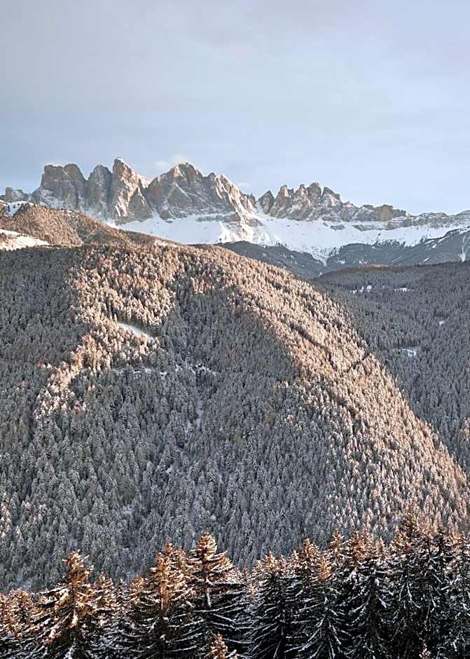 Forestis Dolomites
