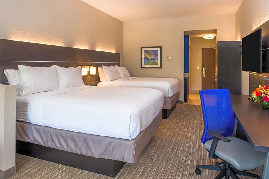 Holiday Inn Express & Suites Tampa North - Wesley Chapel