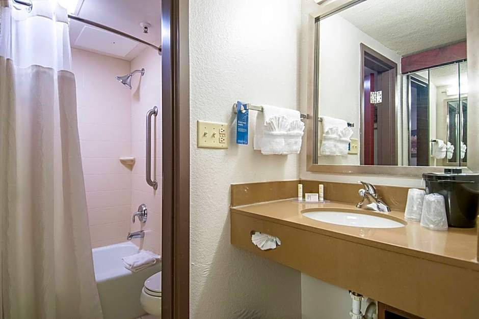 Fairfield Inn & Suites by Marriott Dallas Dfw Airport South/Irving