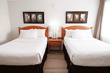 Standard Double Room with Two Double Beds