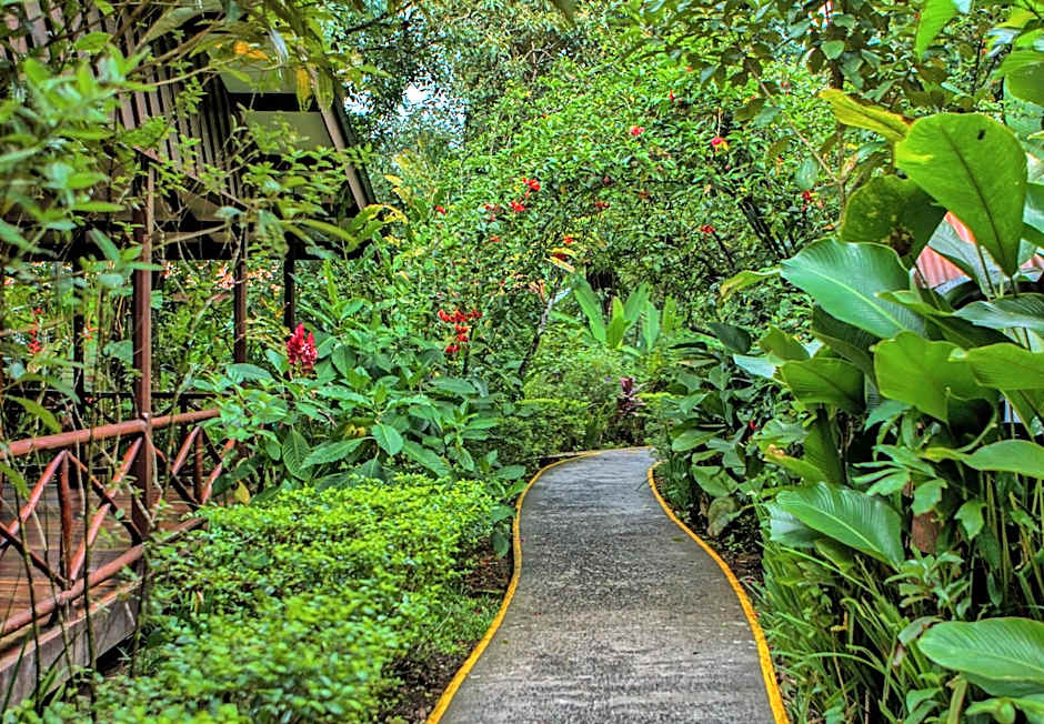 Pachira Lodge