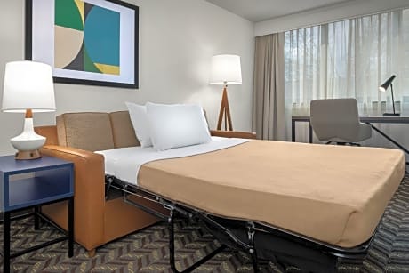 1 Bedroom Suite, King, Sofa bed