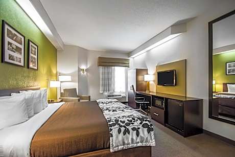 Standard King Room