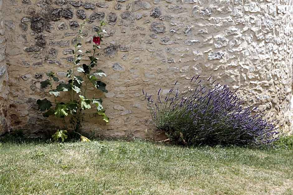 Château de la Gabelle Férrassières