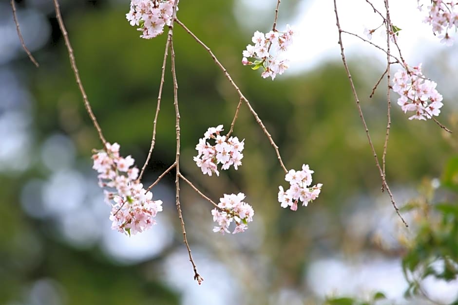 Shomarutoge Garden House