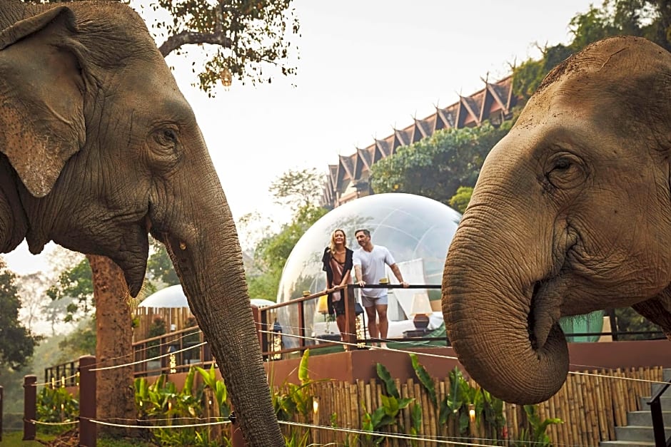 Anantara Golden Triangle Elephant Camp & Resort