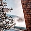 ASTER Boutique Hotel & Chalets