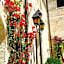 Castello Conti Filo