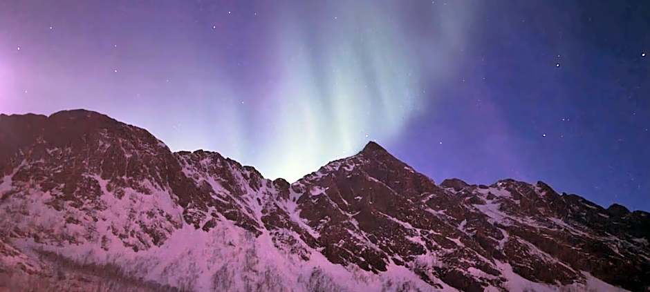 Senja Living