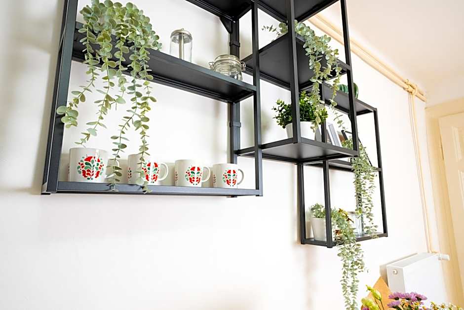 White Wolf House Hostel & Apartments