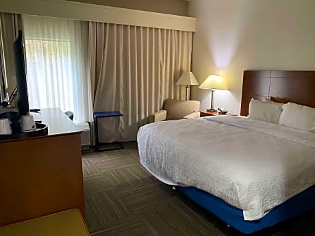 1 King Bed Studio Nonsmoking