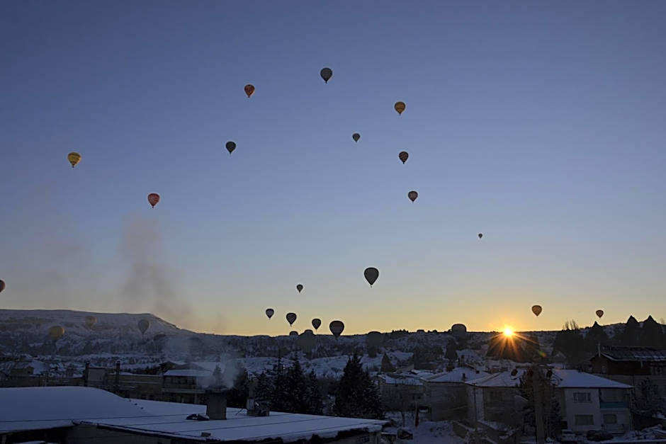 ShoeString Stone House