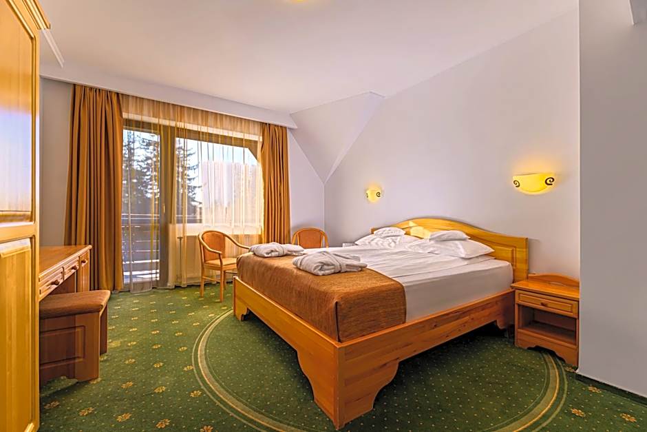 Hotel Casa Viorel jacuzzi & saunas